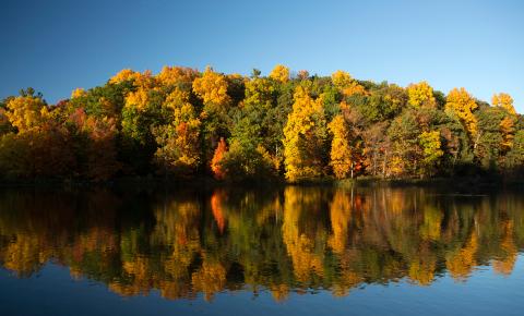beebe lake in the fall